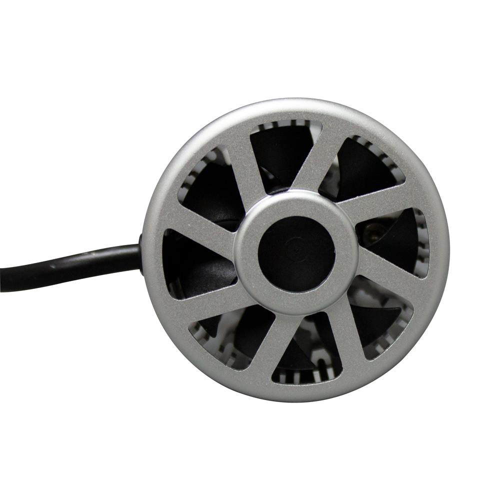LUCES LED D2S